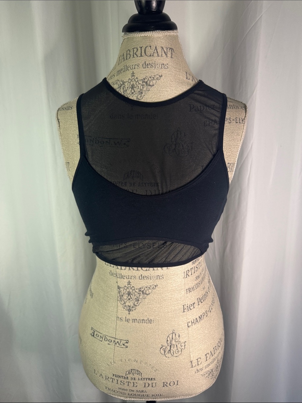 Anthropology Sheer Black Crop Tank